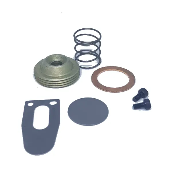 Reparo Tampa Cilindro - 830.0101-1